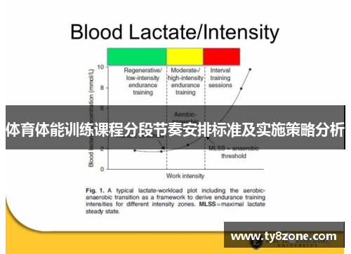 体育体能训练课程分段节奏安排标准及实施策略分析